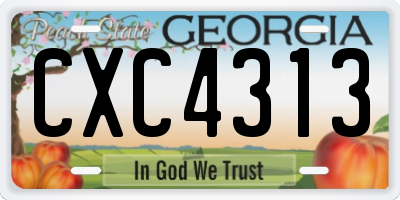 GA license plate CXC4313