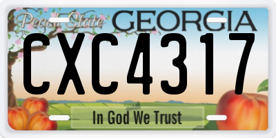 GA license plate CXC4317