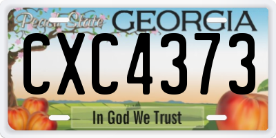 GA license plate CXC4373