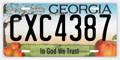 GA license plate CXC4387