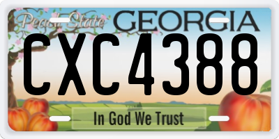 GA license plate CXC4388