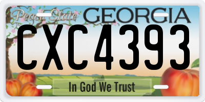 GA license plate CXC4393