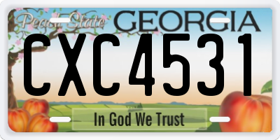 GA license plate CXC4531