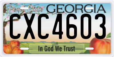 GA license plate CXC4603