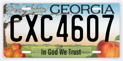 GA license plate CXC4607