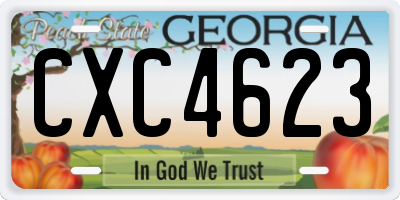 GA license plate CXC4623