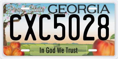 GA license plate CXC5028
