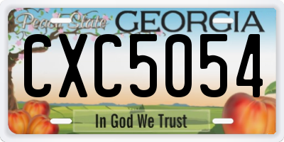 GA license plate CXC5054
