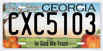 GA license plate CXC5103