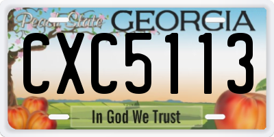 GA license plate CXC5113
