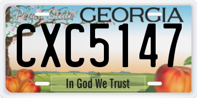 GA license plate CXC5147
