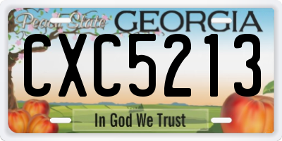 GA license plate CXC5213