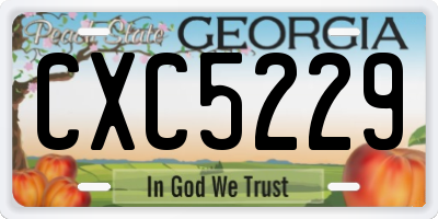 GA license plate CXC5229