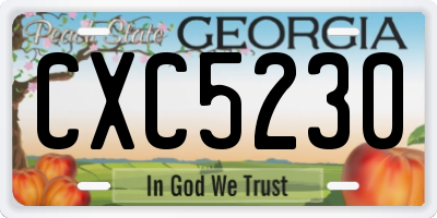 GA license plate CXC5230