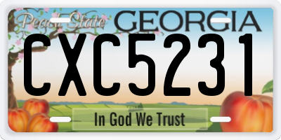 GA license plate CXC5231