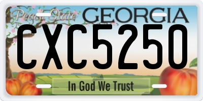 GA license plate CXC5250
