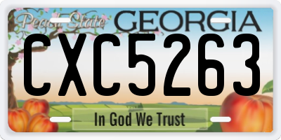 GA license plate CXC5263