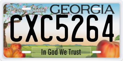 GA license plate CXC5264