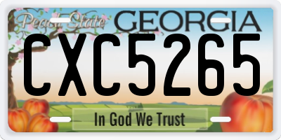 GA license plate CXC5265
