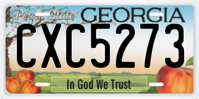 GA license plate CXC5273
