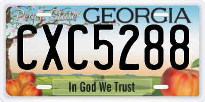 GA license plate CXC5288