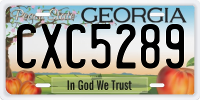 GA license plate CXC5289