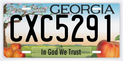 GA license plate CXC5291