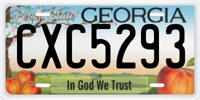 GA license plate CXC5293