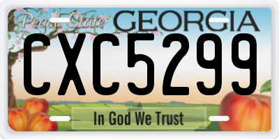 GA license plate CXC5299