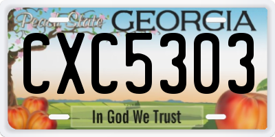 GA license plate CXC5303