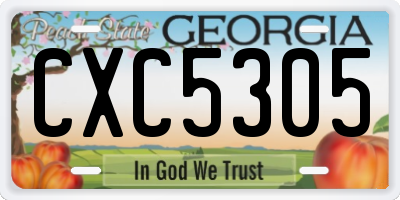GA license plate CXC5305