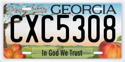 GA license plate CXC5308