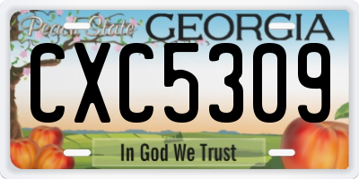 GA license plate CXC5309