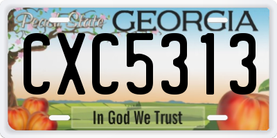 GA license plate CXC5313