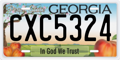 GA license plate CXC5324
