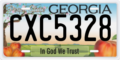 GA license plate CXC5328