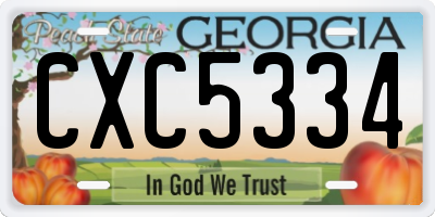 GA license plate CXC5334