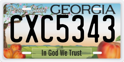 GA license plate CXC5343