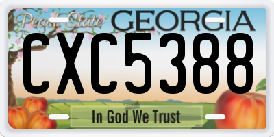 GA license plate CXC5388