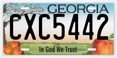 GA license plate CXC5442