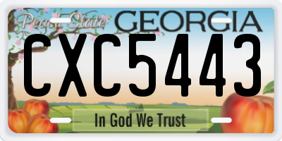 GA license plate CXC5443