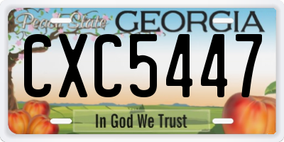 GA license plate CXC5447