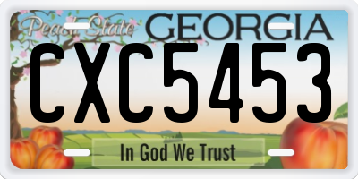 GA license plate CXC5453
