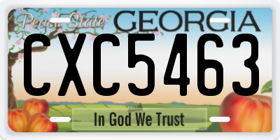 GA license plate CXC5463