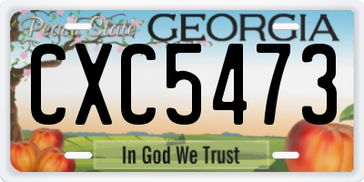 GA license plate CXC5473
