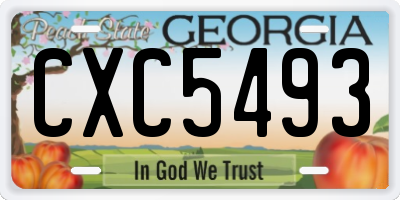 GA license plate CXC5493