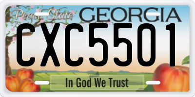 GA license plate CXC5501
