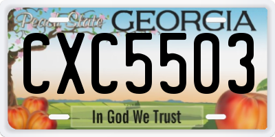 GA license plate CXC5503