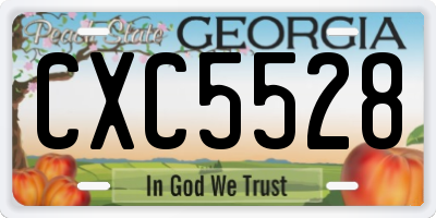 GA license plate CXC5528