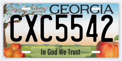 GA license plate CXC5542